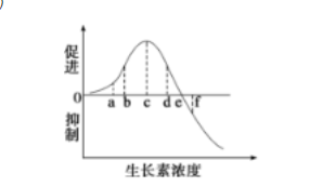 光衰减器认知及性能测试实验