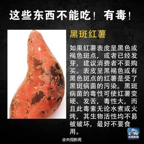 动物胶有毒吗